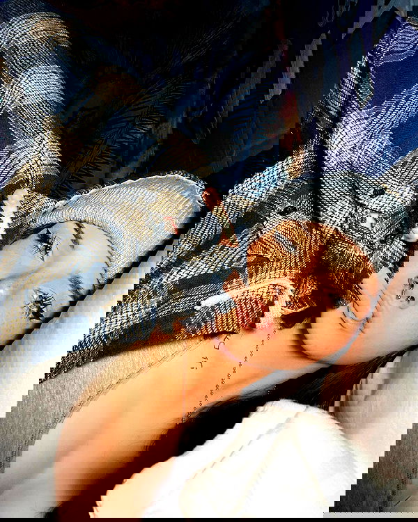 v.okay image ~ Altpins