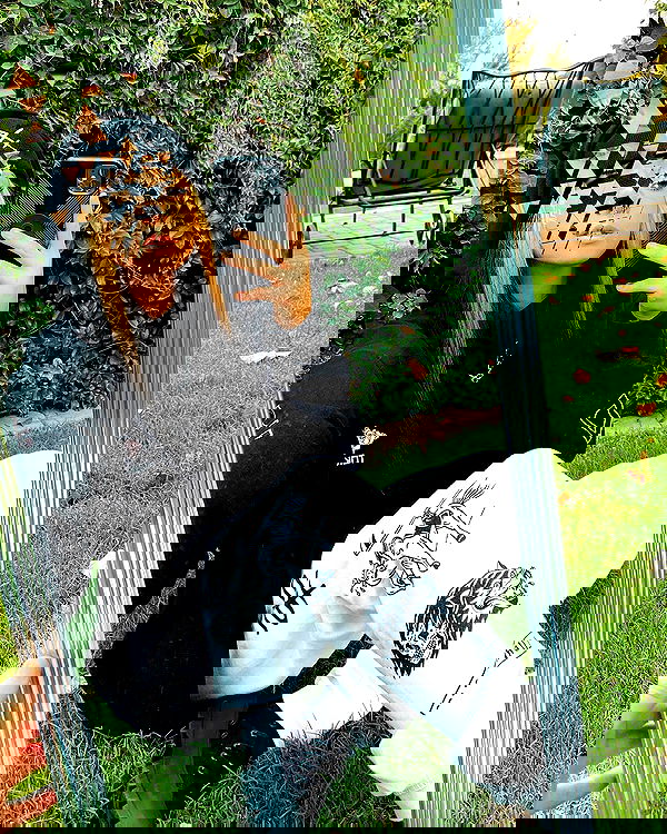 v.okay image ~ Altpins