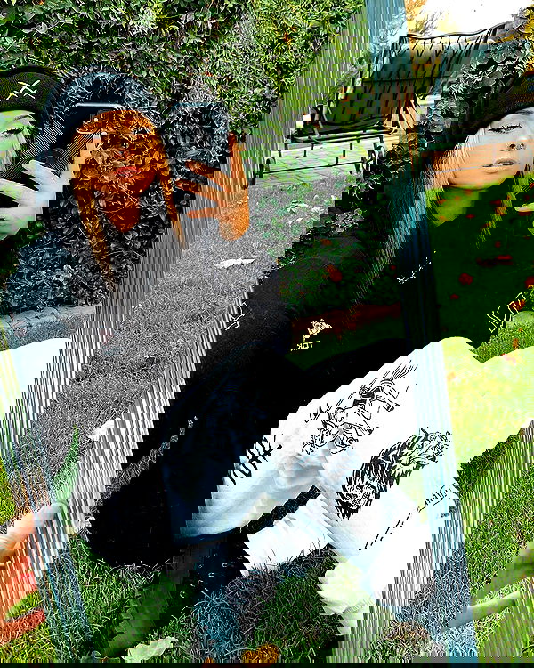 v.okay image ~ Altpins