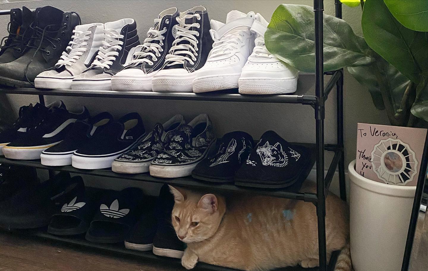 v.okay instagram image archive image