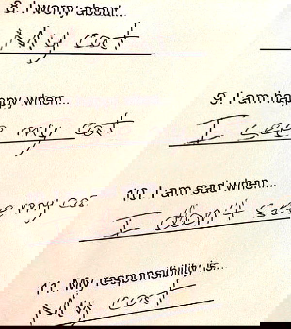 v.okay image ~ Altpins