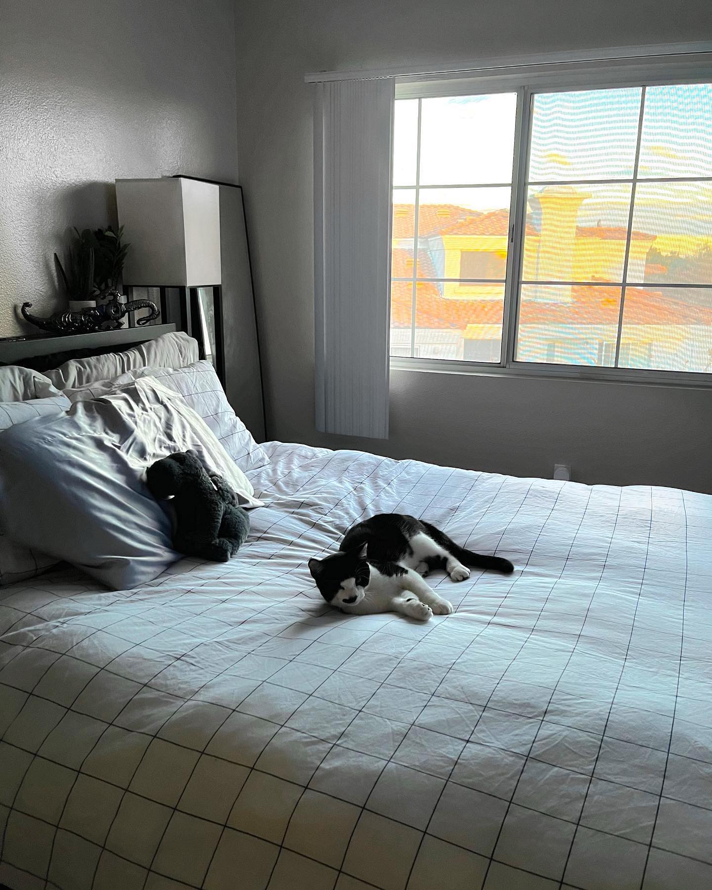 v.okay instagram image archive image