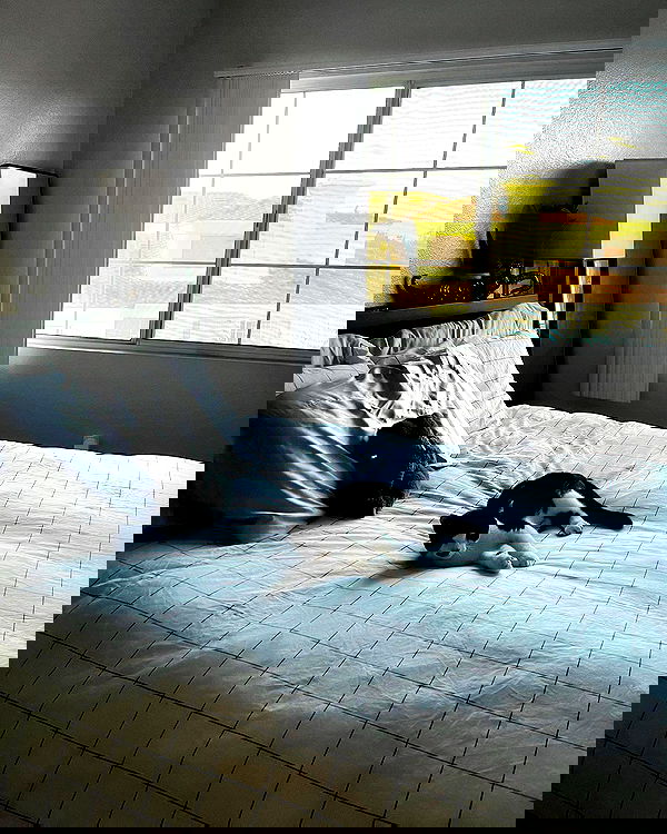 v.okay image ~ Altpins