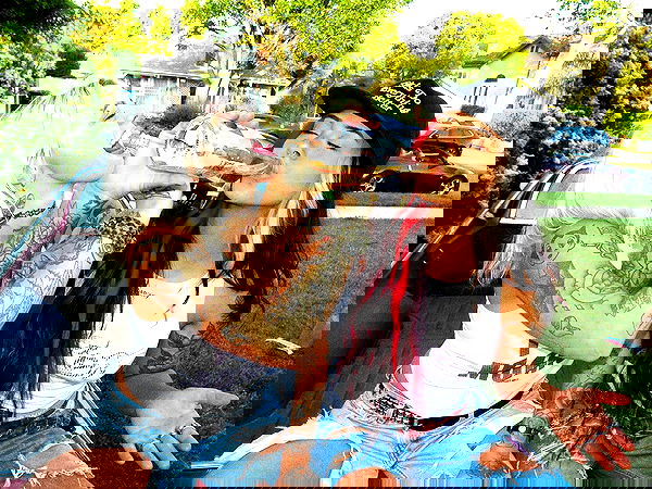 v.okay image ~ Altpins