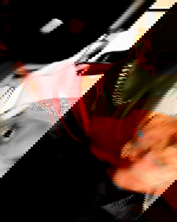 v.okay image ~ Altpins