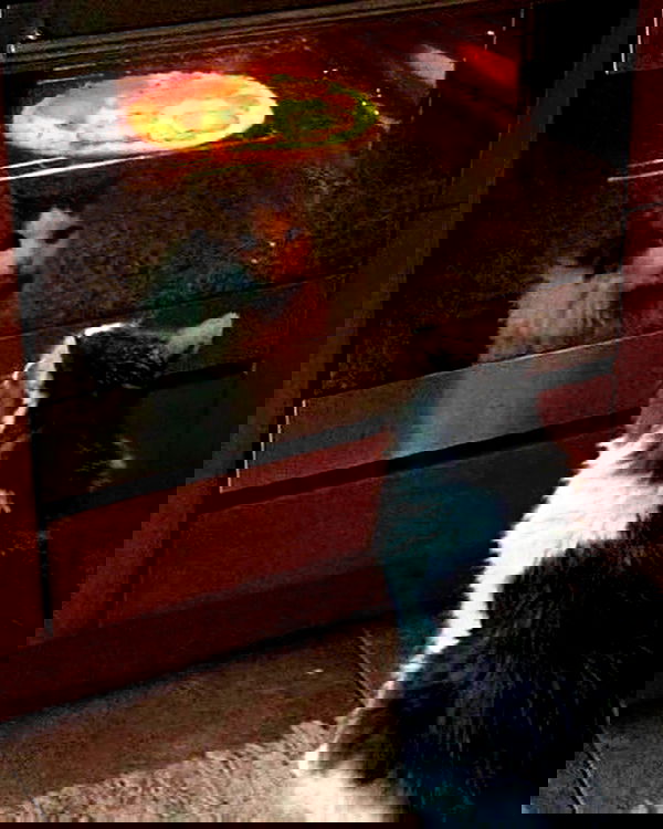 v.okay image ~ Altpins