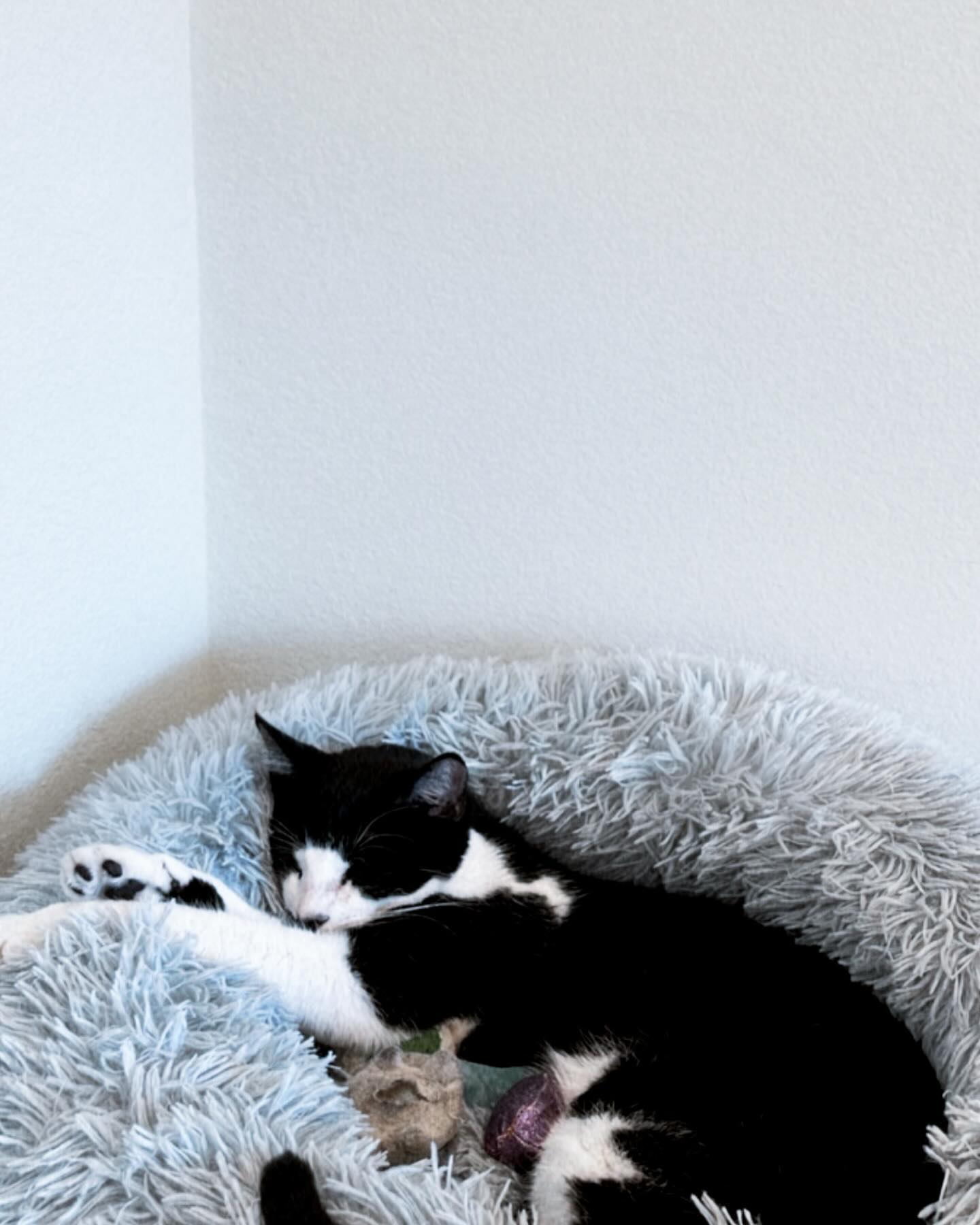 v.okay instagram image archive image