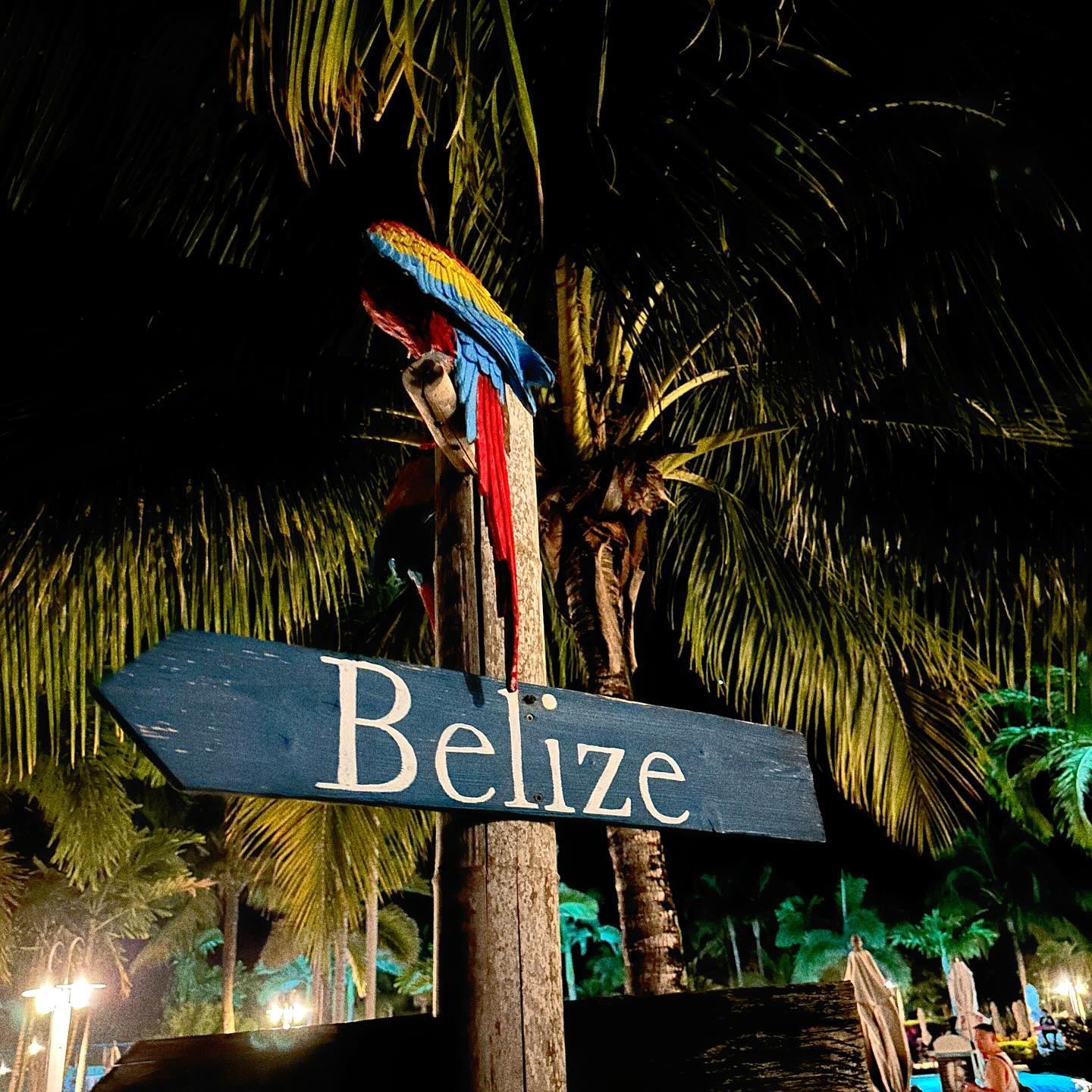 v.okay instagram image archive image