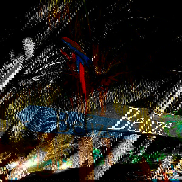 v.okay image ~ Altpins