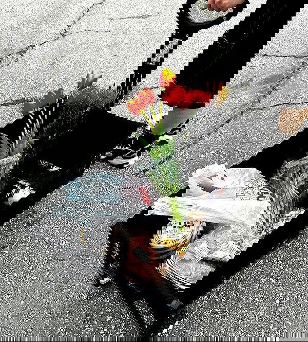 v.okay image ~ Altpins