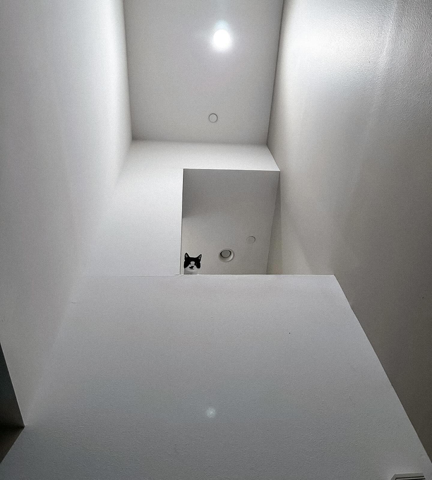 v.okay instagram image archive image