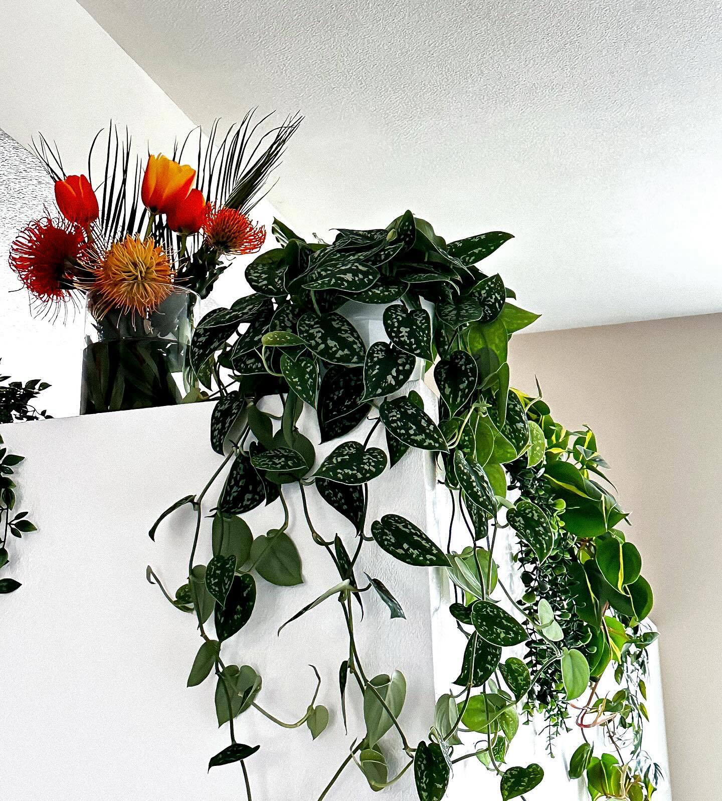 v.okay instagram image archive image