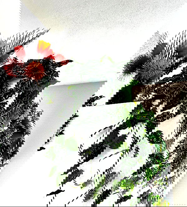 v.okay image ~ Altpins