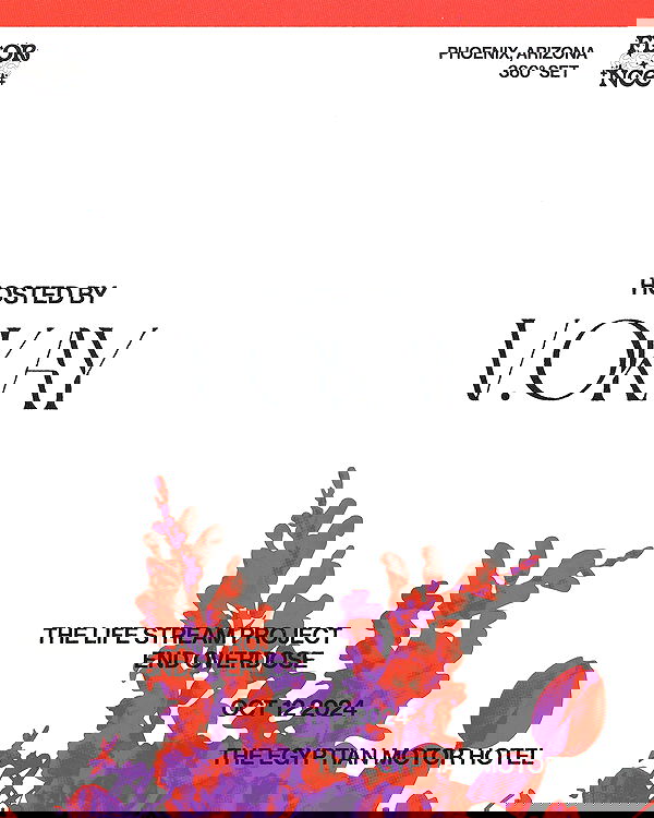 v.okay image ~ Altpins