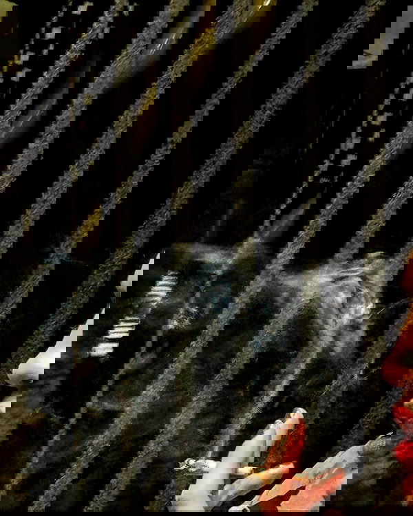 v.qx v.qx archive image