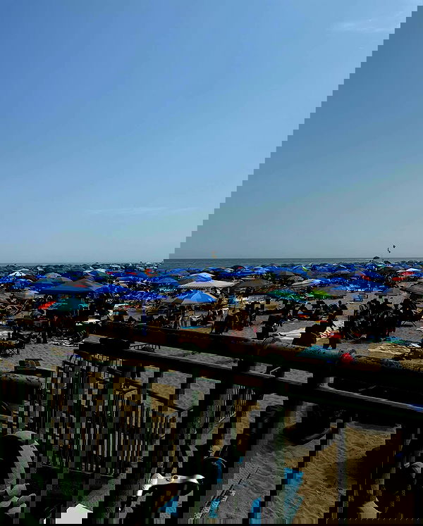 v.qx v.qx archive image