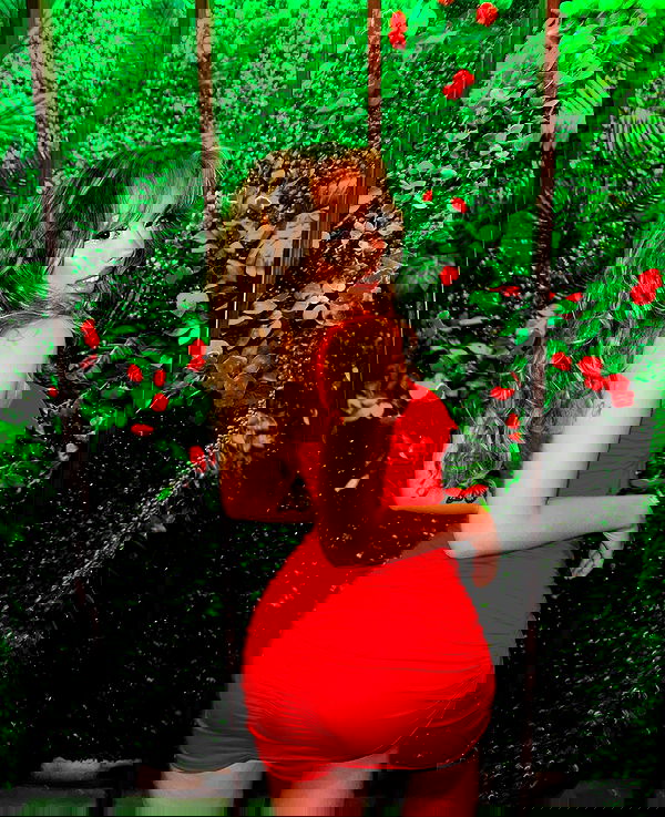 v.qx v.qx archive image