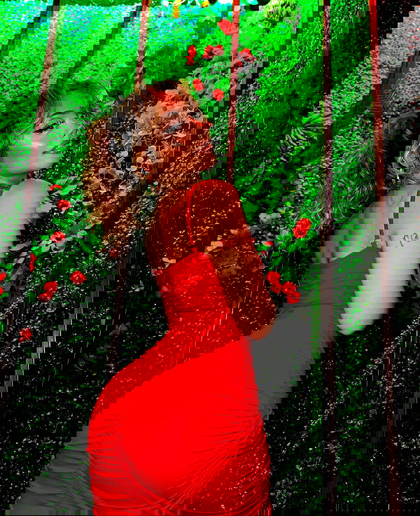 v.qx v.qx archive image