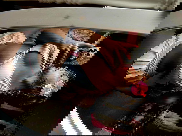 v.qx v.qx archive image