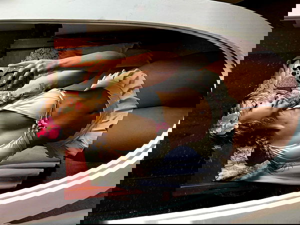 v.qx v.qx archive image