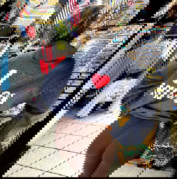 v.qx v.qx archive image