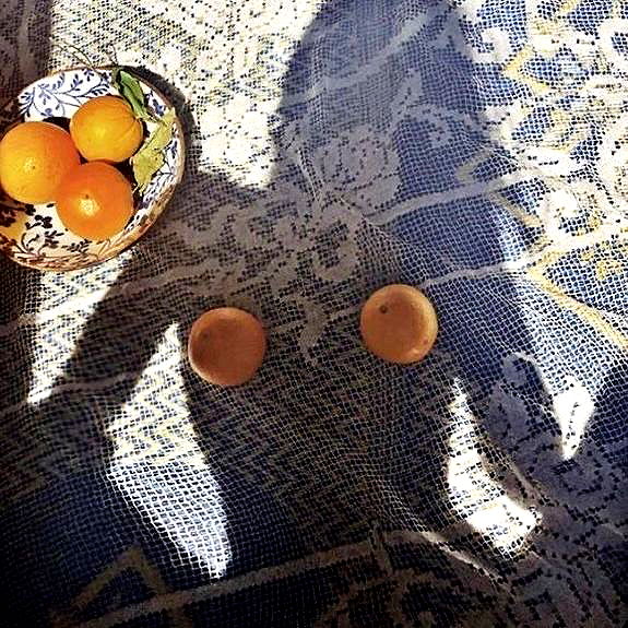 v.qx v.qx archive image