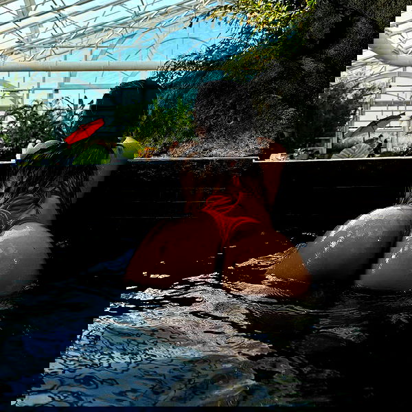 v.qx v.qx archive image