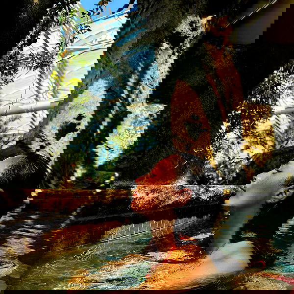 v.qx v.qx archive image