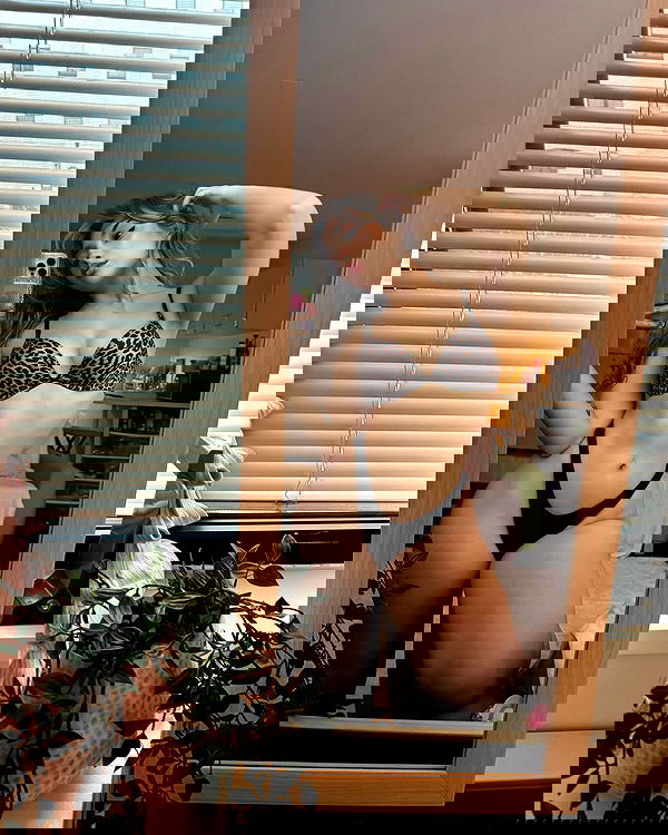 v.qx v.qx archive image