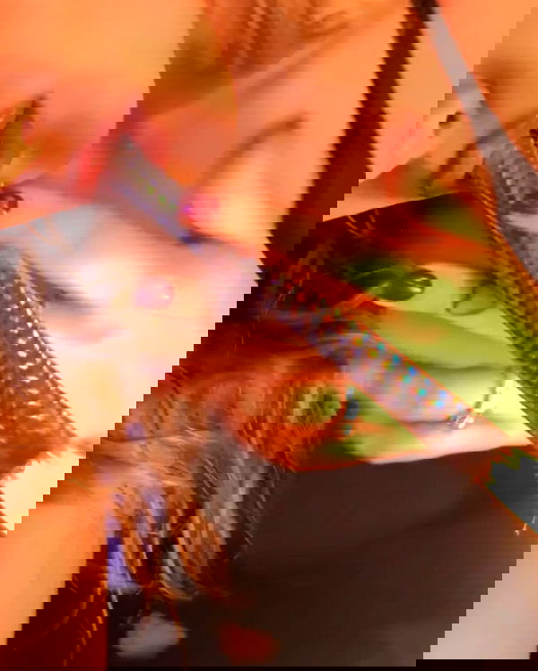 v.qx v.qx archive image