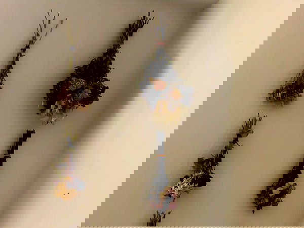 v.qx v.qx archive image