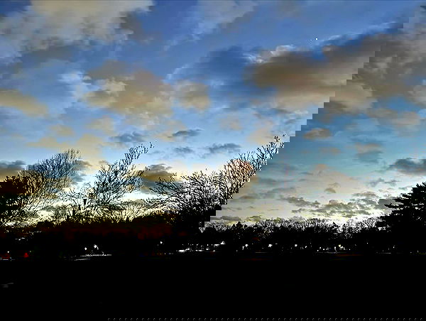 v.qx v.qx archive image