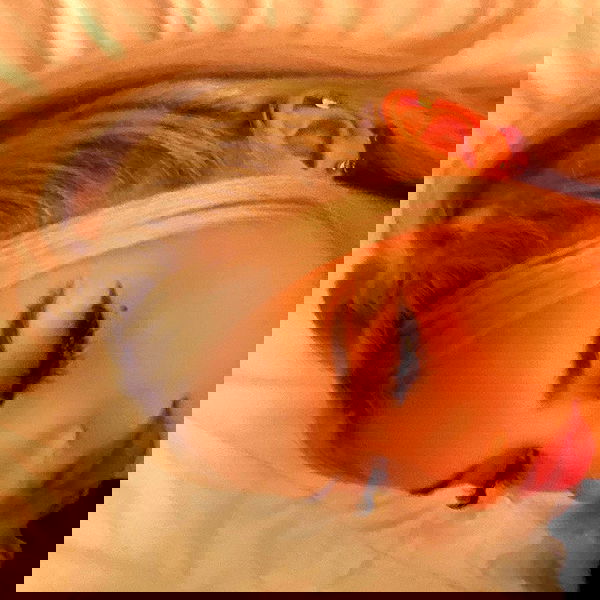 v33froggy image ~ Altpins