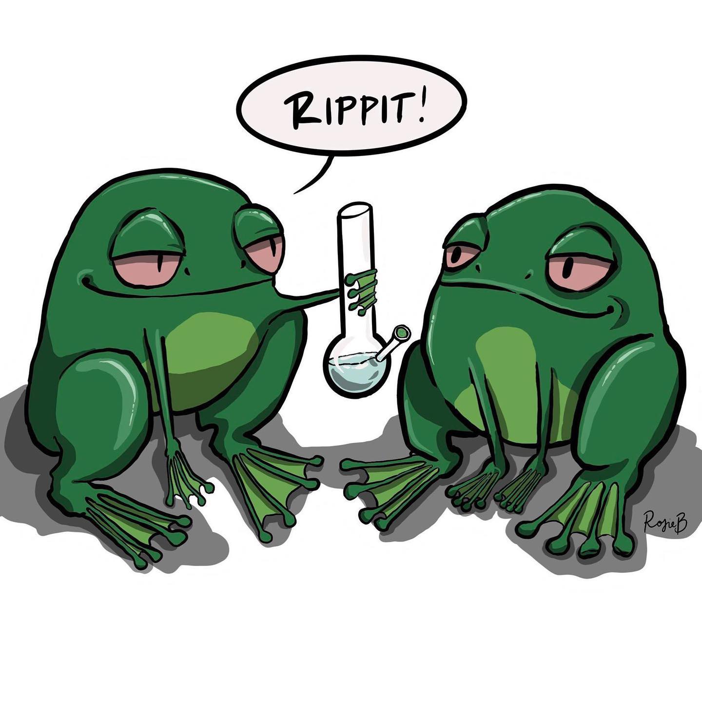 v33froggy instagram image archive image