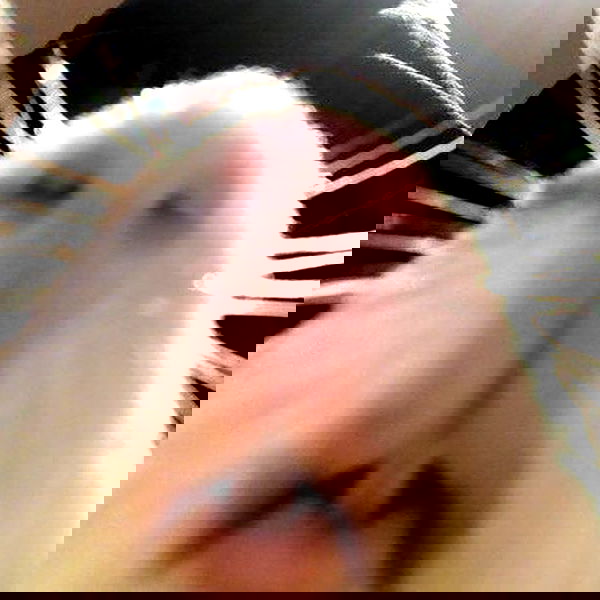 v33froggy image ~ Altpins