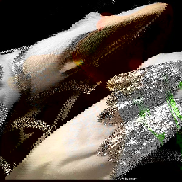 v33froggy image ~ Altpins