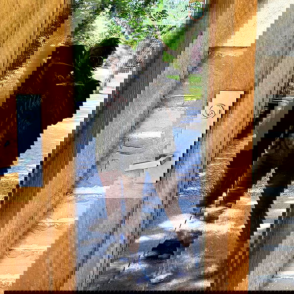 v33froggy image ~ Altpins