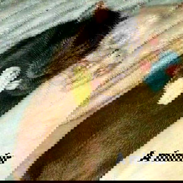 v33froggy image ~ Altpins