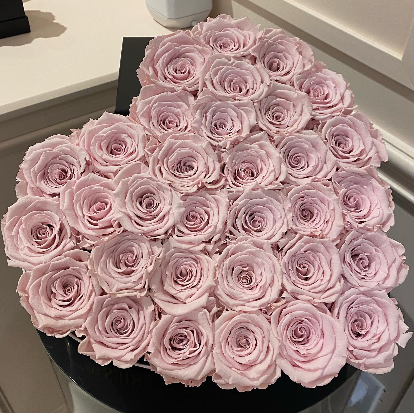 v33froggy instagram image archive image