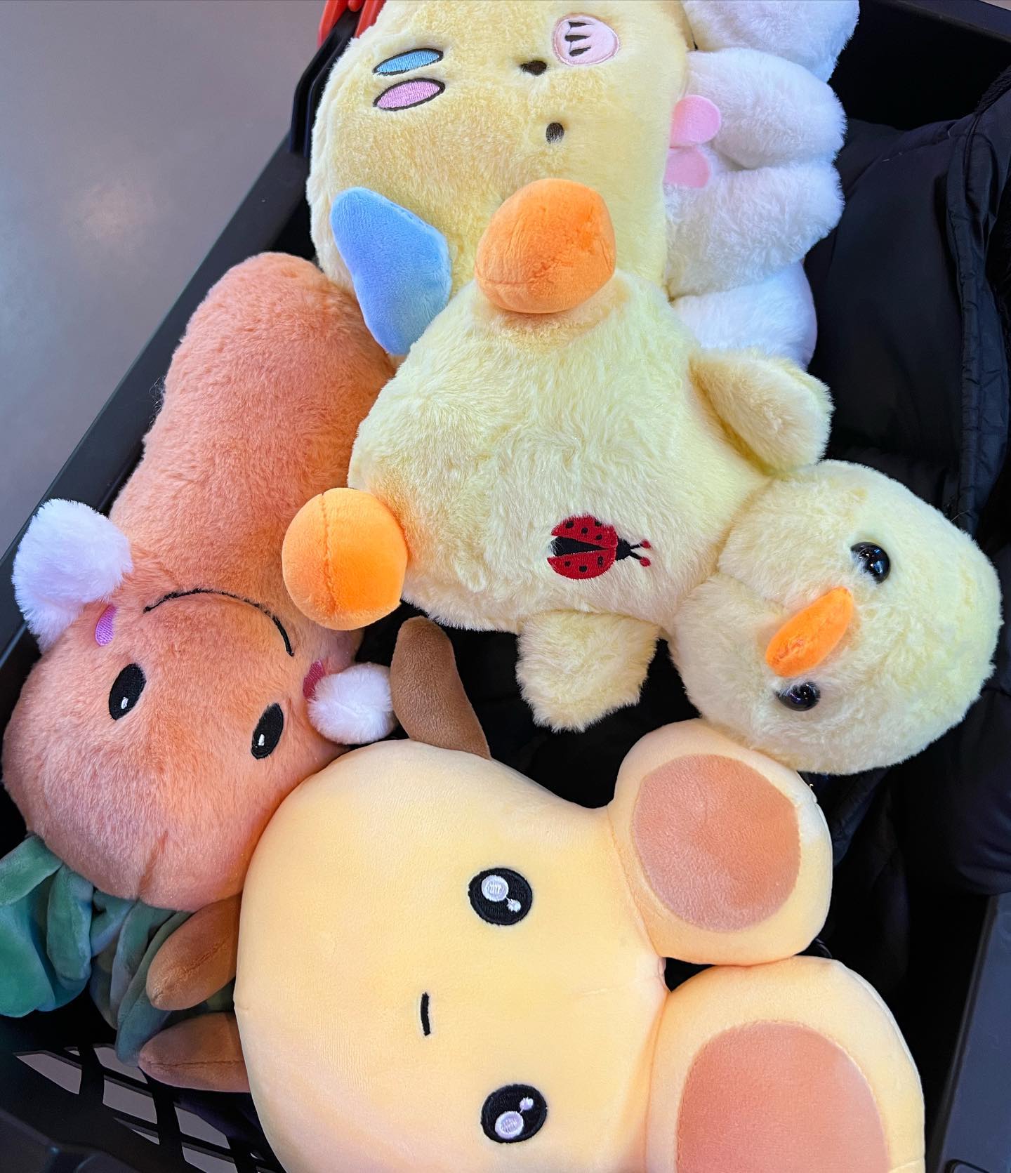 v33froggy instagram image archive image