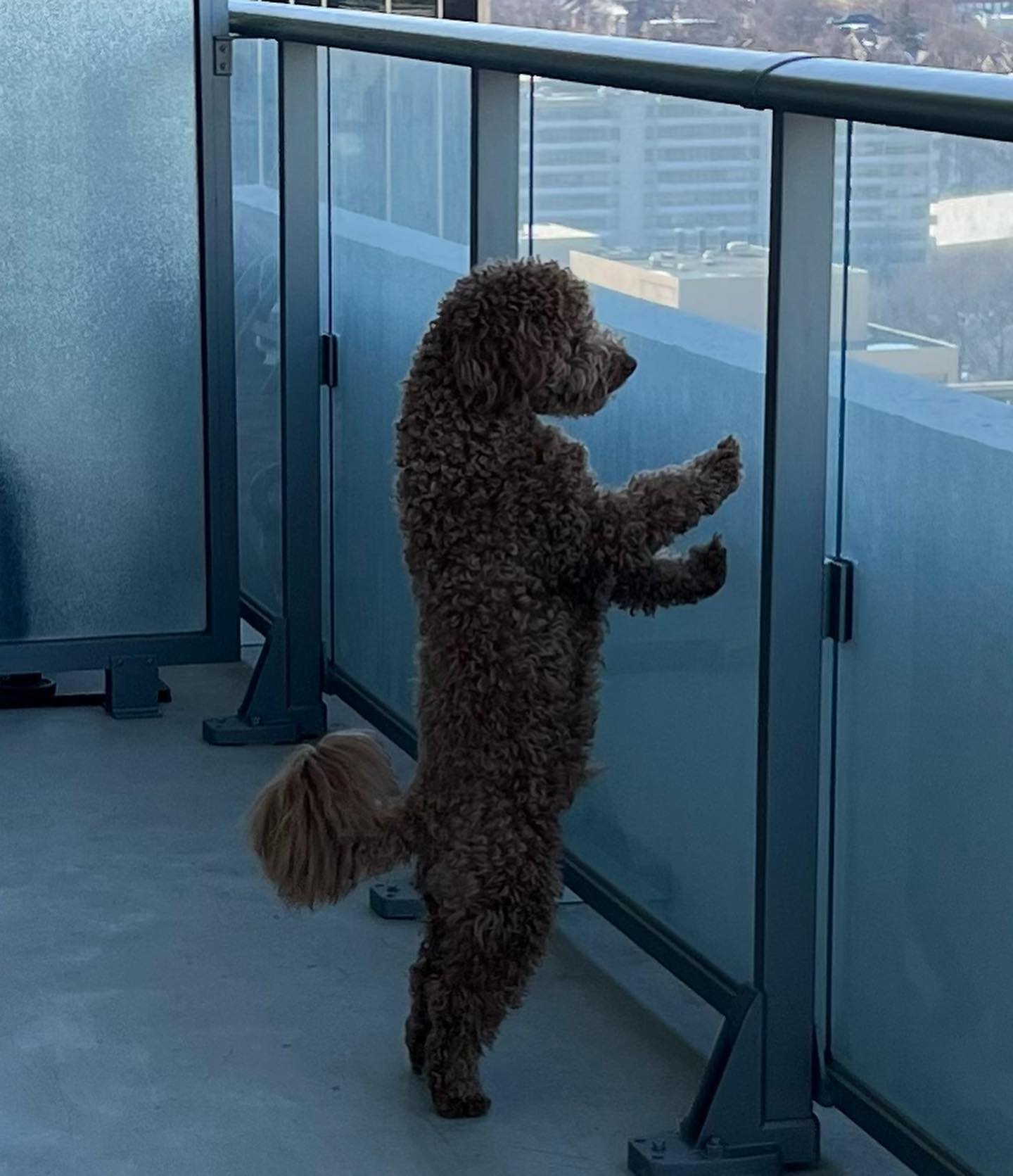 v33froggy instagram image archive image