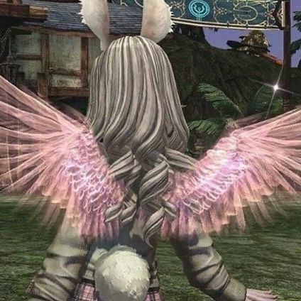 v33froggy instagram image archive image