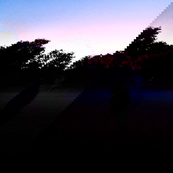 vanessa.julienne image ~ Altpins