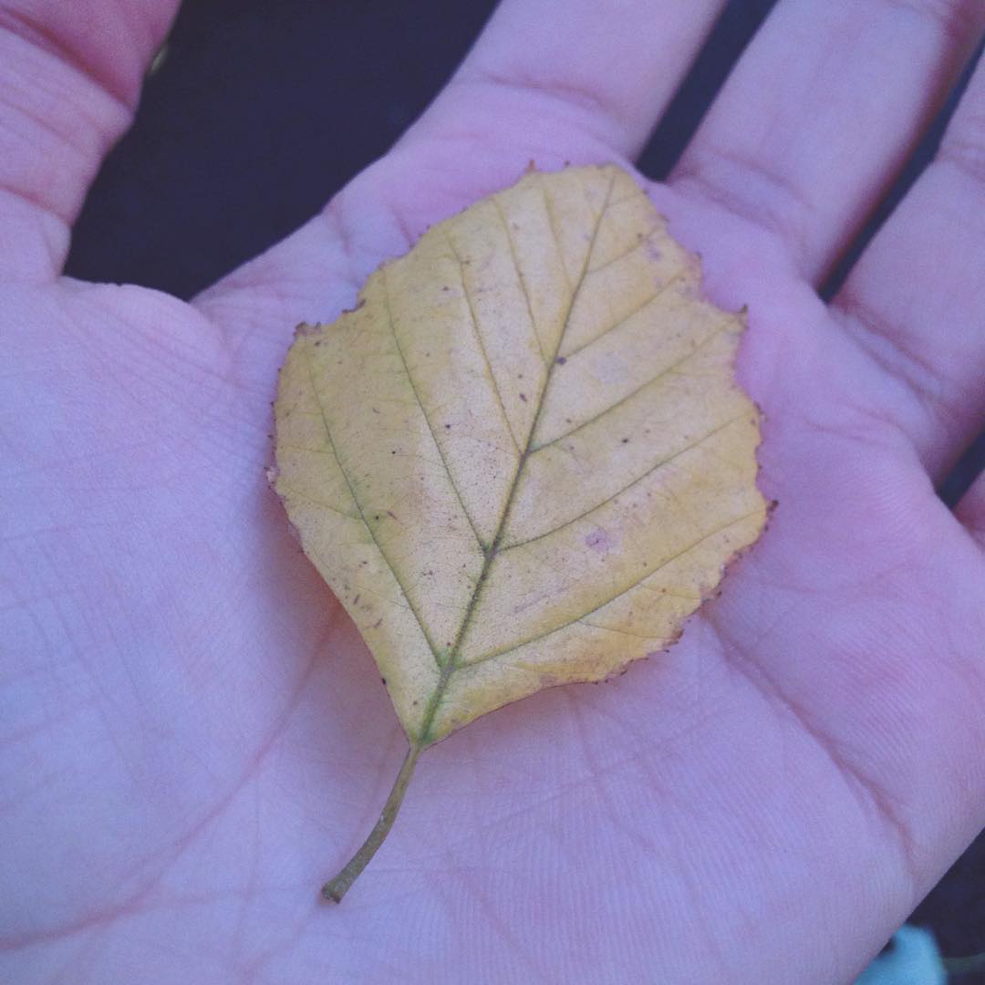 vanessa.julienne instagram image archive image