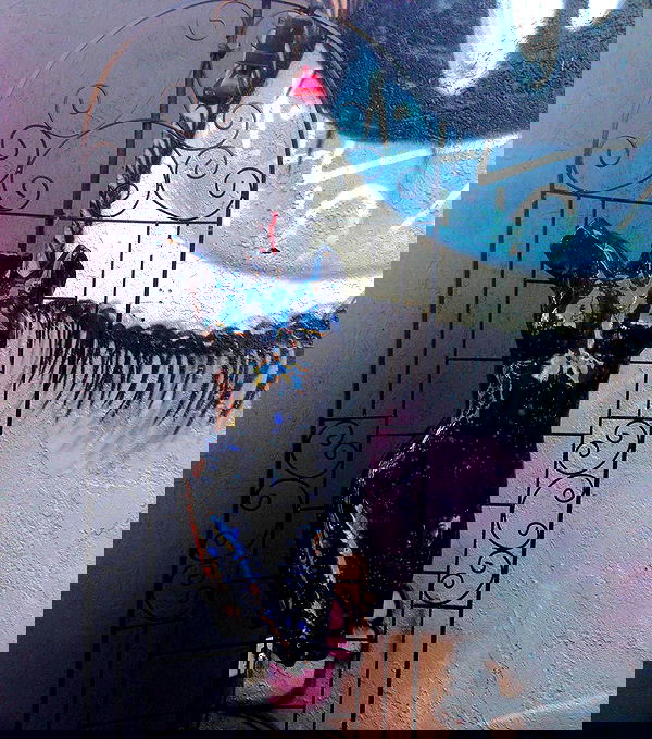 vanessa.julienne image ~ Altpins