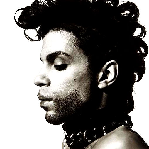 vanessa.julienne image ~ Altpins