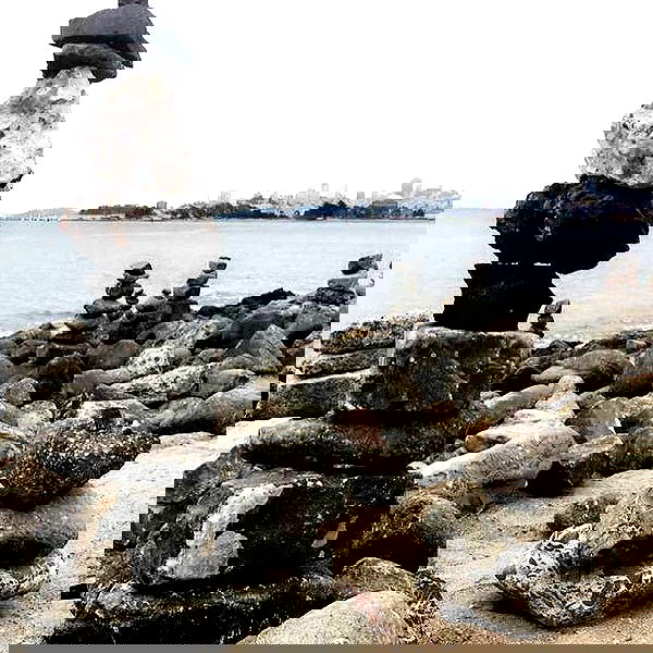 vanessa.julienne image ~ Altpins