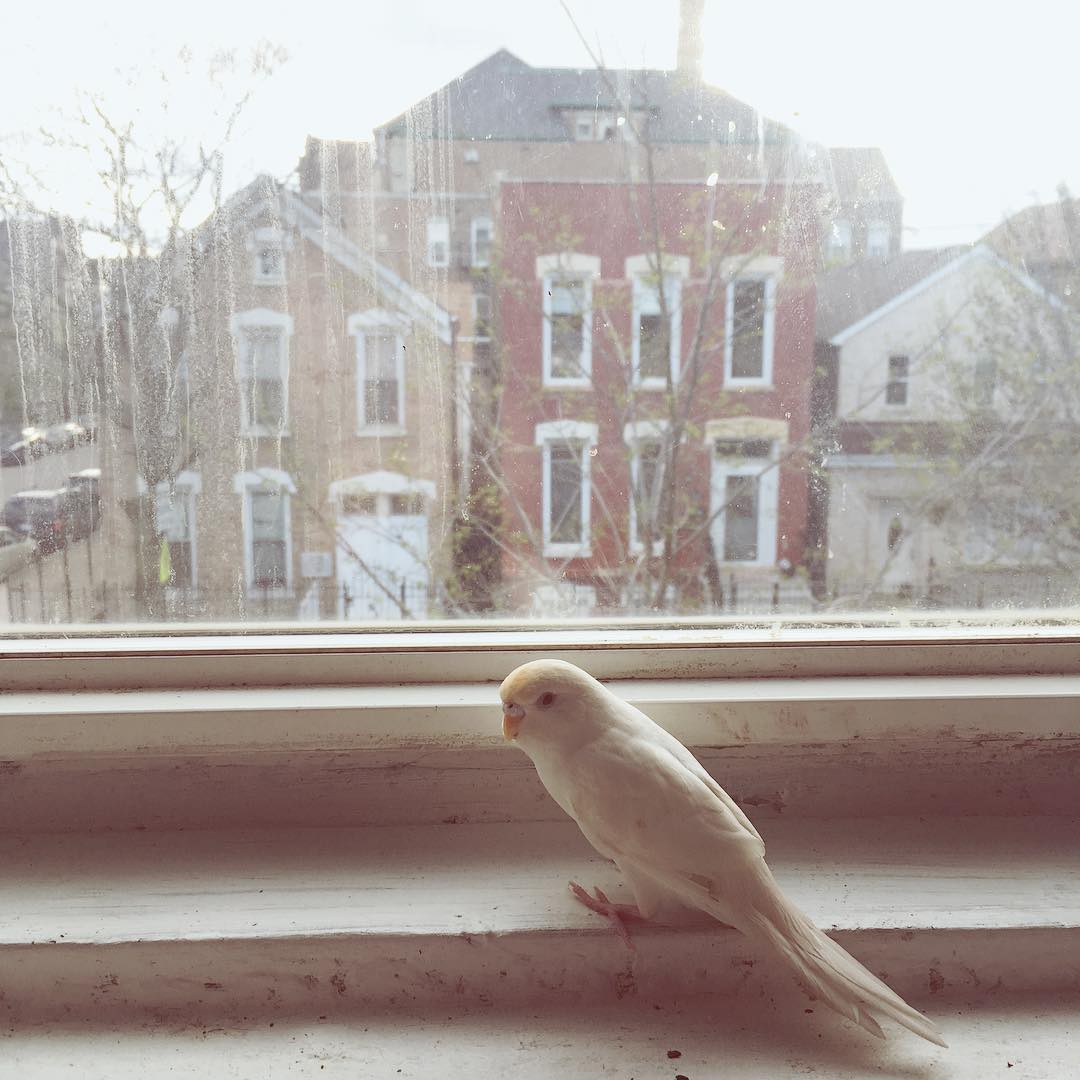 vanessa.julienne instagram image archive image