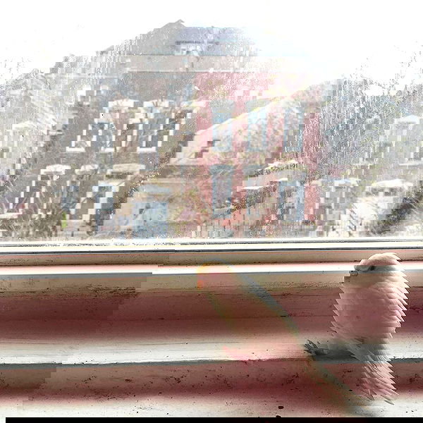 vanessa.julienne image ~ Altpins