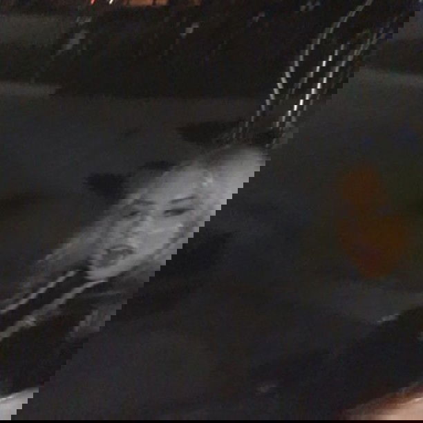 vanessa.julienne instagram image archive image